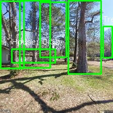 Object Detection Image