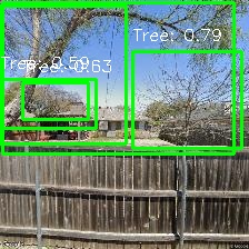 Object Detection Image