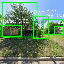 Object Detection Image