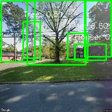 Object Detection Image