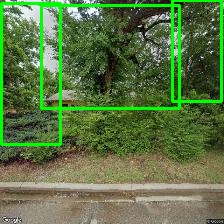 Object Detection Image