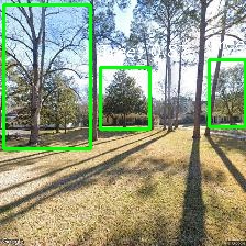 Object Detection Image