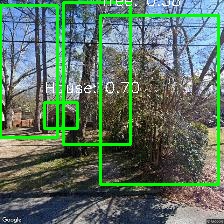 Object Detection Image