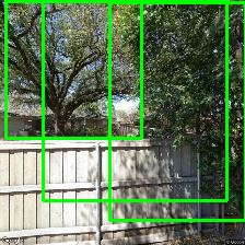 Object Detection Image