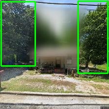 Object Detection Image