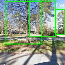 Object Detection Image