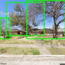 Object Detection Image