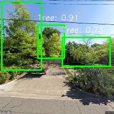 Object Detection Image