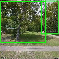 Object Detection Image