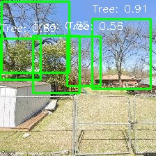 Object Detection Image