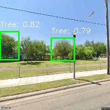 Object Detection Image