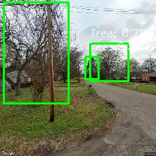 Object Detection Image