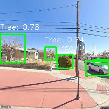 Object Detection Image