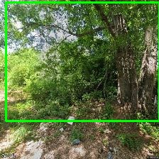 Object Detection Image