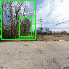 Object Detection Image