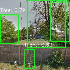 Object Detection Image