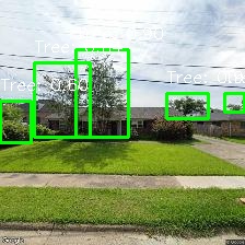 Object Detection Image