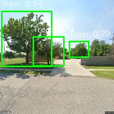 Object Detection Image