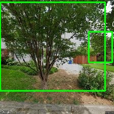 Object Detection Image