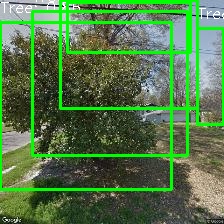 Object Detection Image