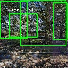 Object Detection Image