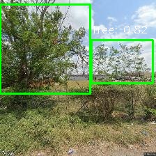 Object Detection Image