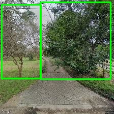 Object Detection Image