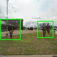 Object Detection Image