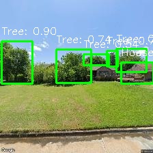 Object Detection Image