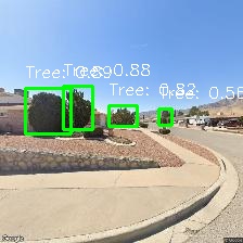 Object Detection Image