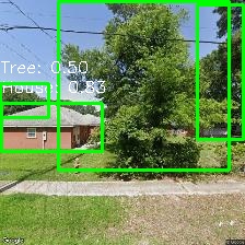 Object Detection Image